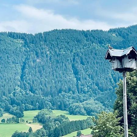 Gemuetliche Alpenwohnung Mit Balkon & Bergblick Nahe Neuschwanstein Ideal Fuer Familien & Gruppen Fuer Gemeinsame Momente * ハルプレヒ