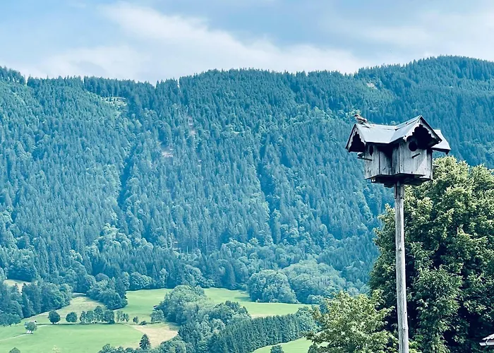 Gemuetliche Alpenwohnung Mit Balkon & Bergblick Nahe Neuschwanstein Ideal Fuer Familien & Gruppen Fuer Gemeinsame Momente * Halblech